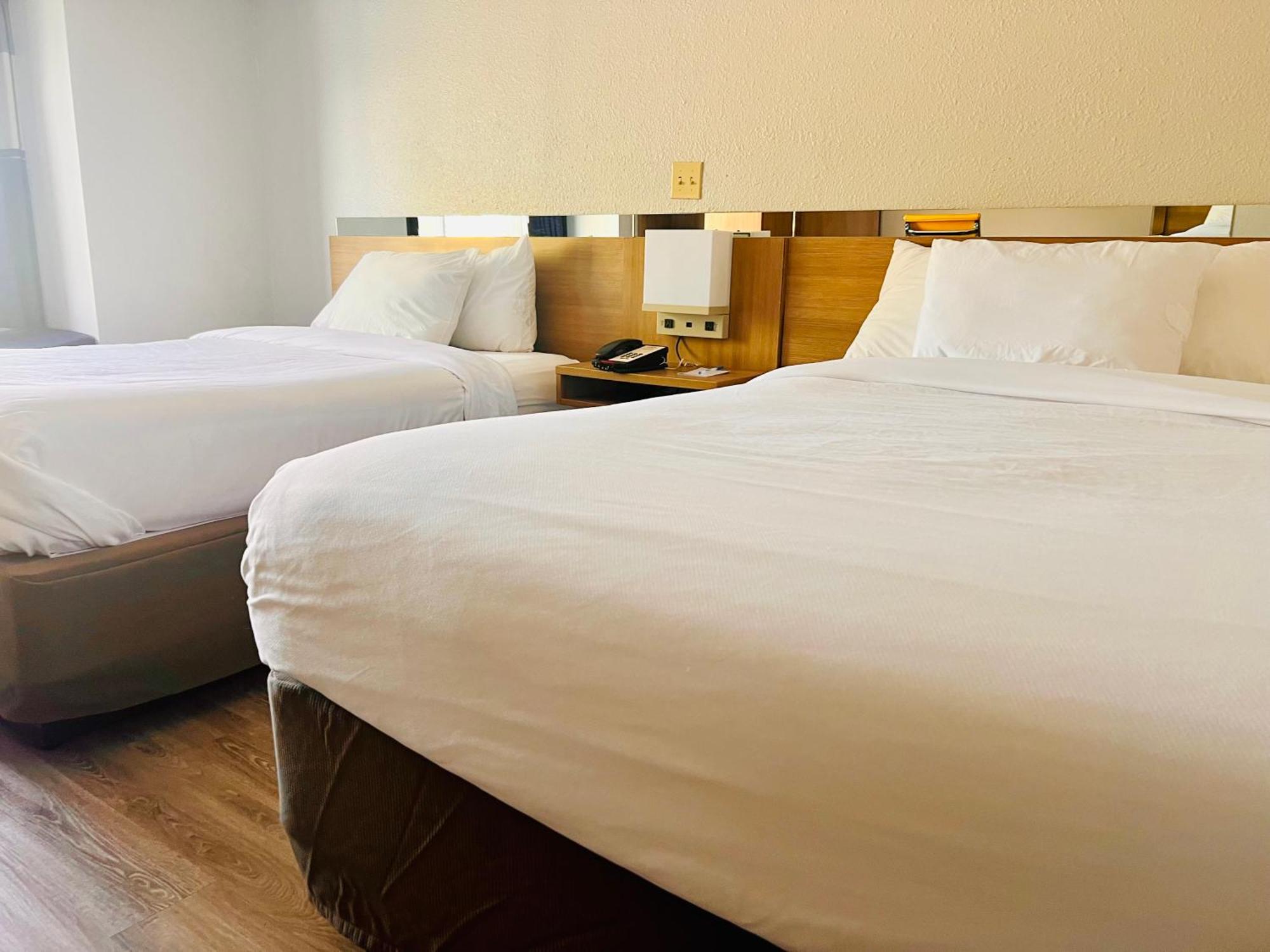 Microtel Inn By Wyndham Lexington Buitenkant foto